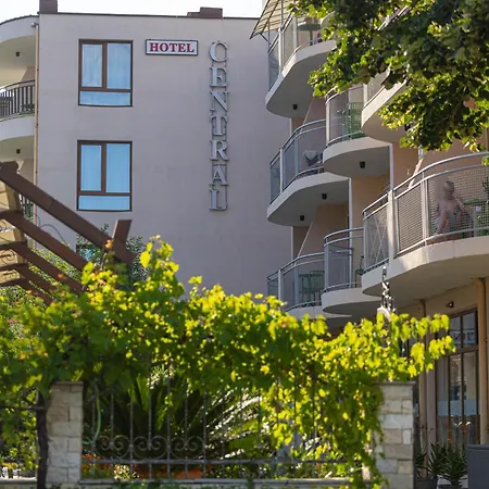 فندق Hotel Central ساني بيتش